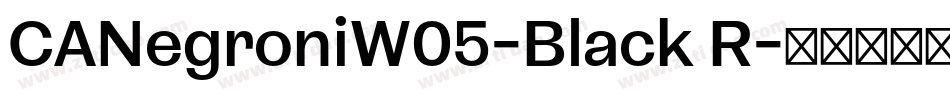 CANegroniW05-Black R字体转换